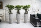 Plantekasse Dax Imperial white thumbnail
